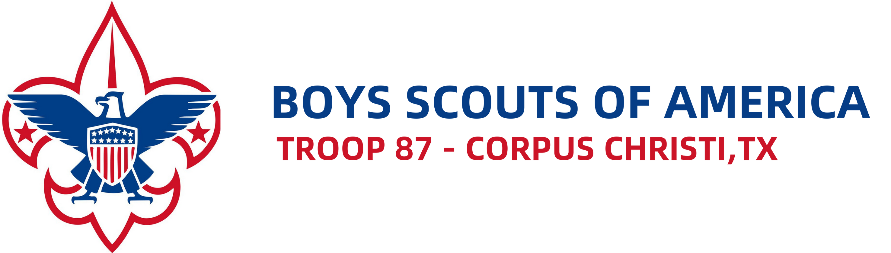 BSA Troop 87